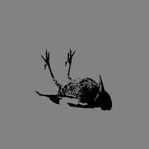 Witching Hour dark skull jewellery collection,
