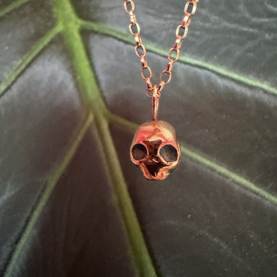 Video of A handmade 9ct gold skull drop necklace in front of a large green leaf by Virginia Allan