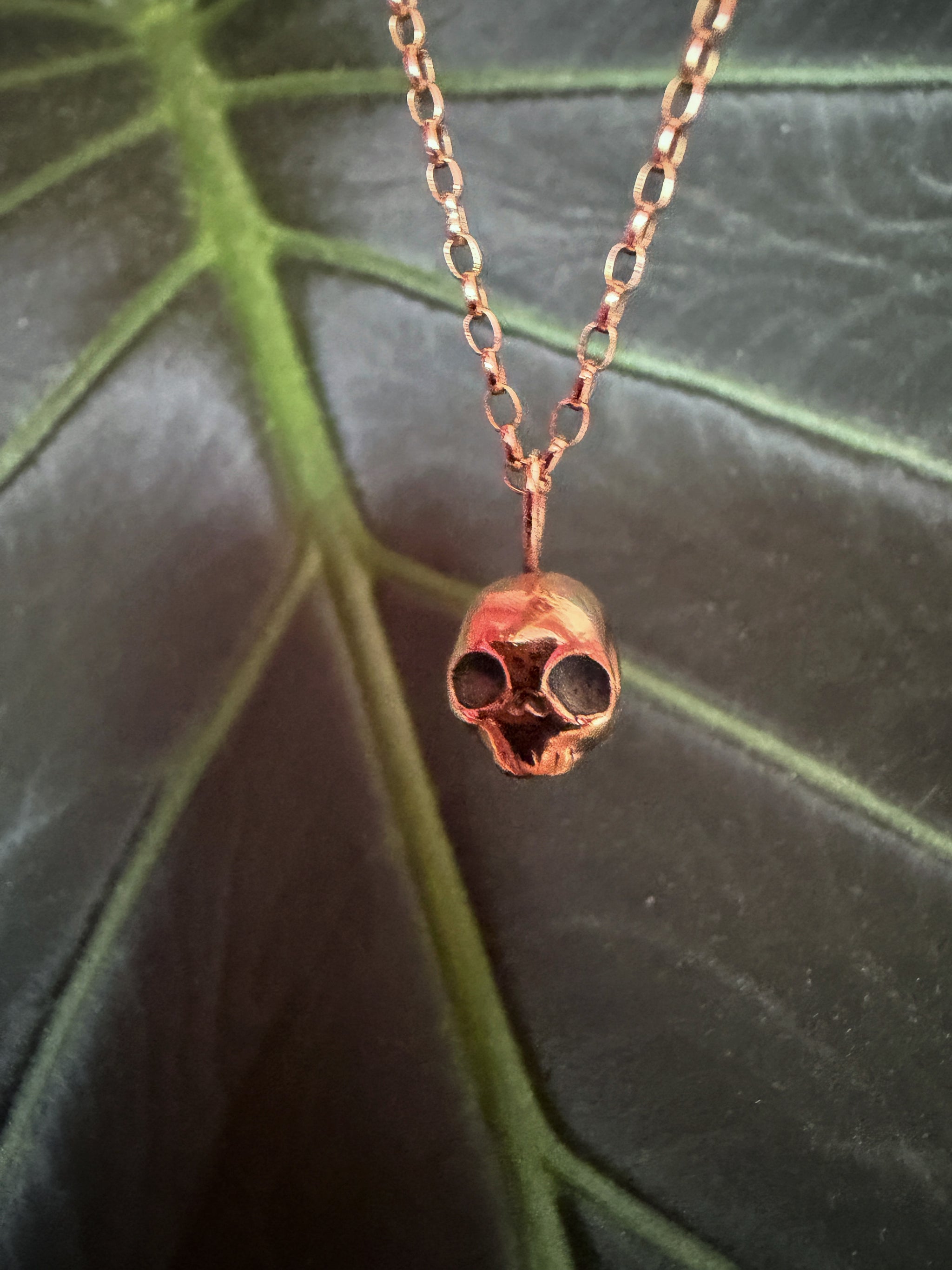 Video of A handmade 9ct gold skull drop necklace in front of a large green leaf by Virginia Allan